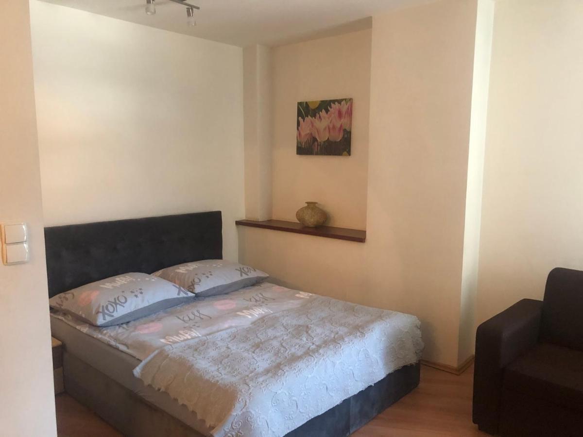 Apartament Studio Ζακοπάνε Εξωτερικό φωτογραφία