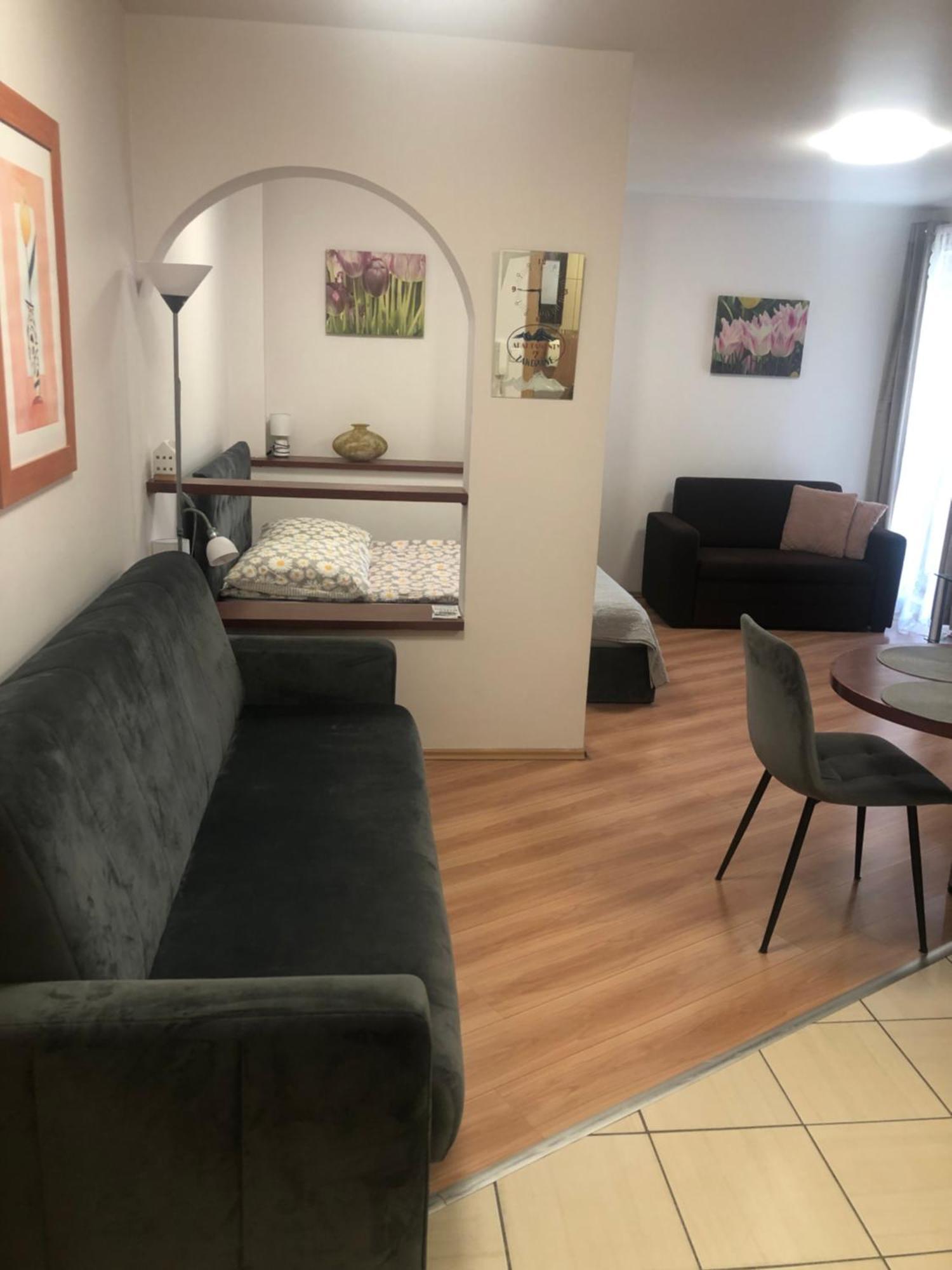 Apartament Studio Ζακοπάνε Εξωτερικό φωτογραφία